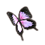 Mara's Blush Butterfly icon